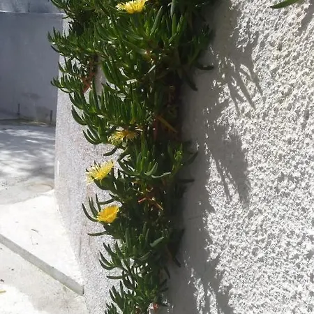 度假居 Casa Giovanni *